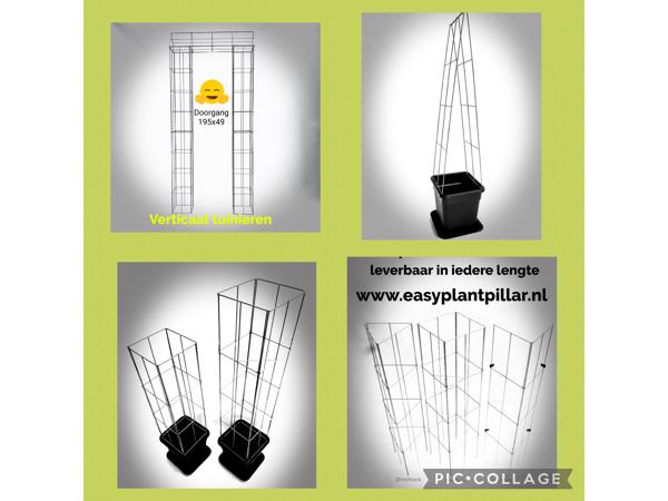 Klimplanten op het terras, tegel eruit plantrek erin