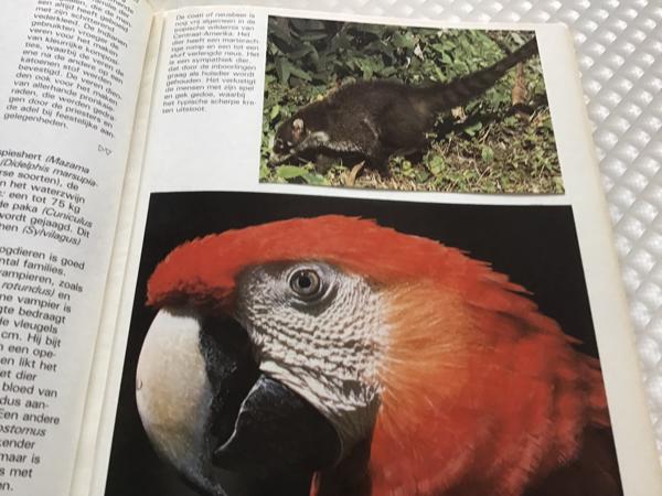 Centraal Amerika ,wat een enorm land en zo dicht bij andere