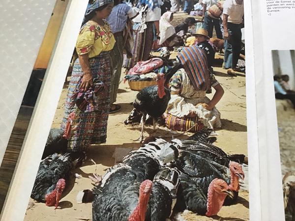 Centraal Amerika ,wat een enorm land en zo dicht bij andere