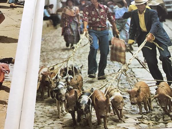 Centraal Amerika ,wat een enorm land en zo dicht bij andere