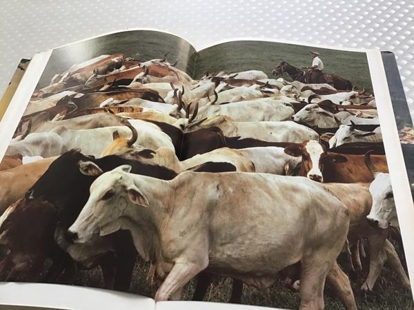 Centraal Amerika ,wat een enorm land en zo dicht bij andere