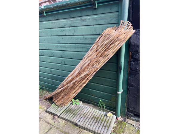 Riet haag voor tuin