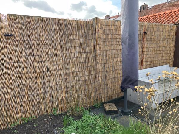 Riet haag voor tuin