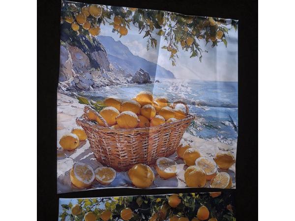 Set van 4 kussenhoezen kustdorp citroenen 45x45cm