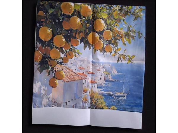 Set van 4 kussenhoezen kustdorp citroenen 45x45cm