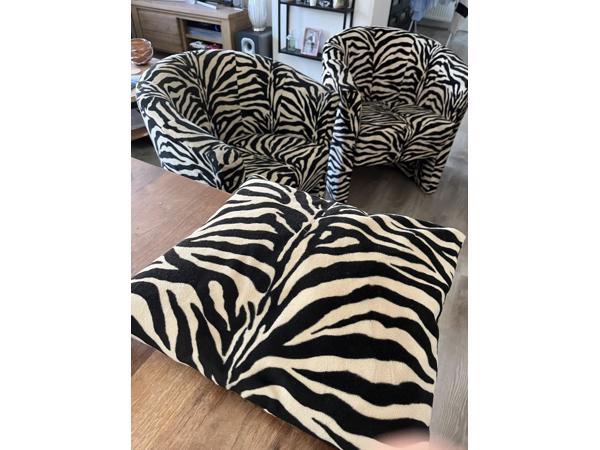 2 Leuke fauteuils , tijgerprint . In goede staat.