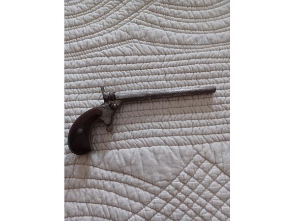 2x salonpistool vrijgesteld