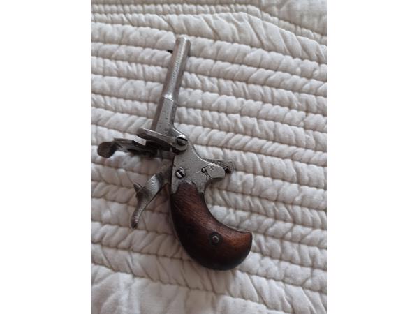 2x salonpistool vrijgesteld