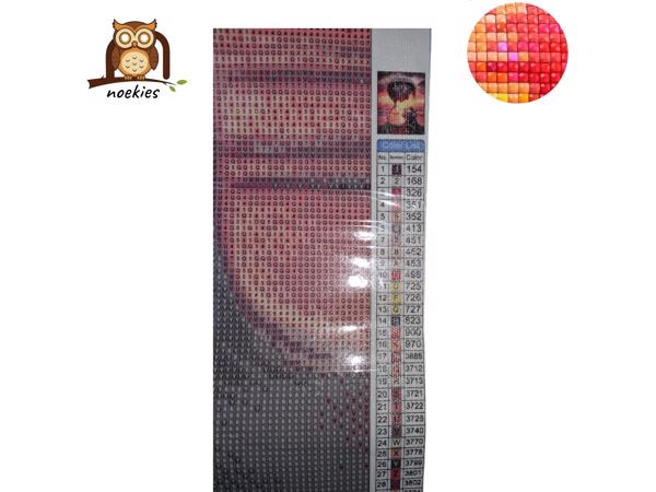 nr 36 Diamond Painting zandloper kunst 50x40cm (vierkant)