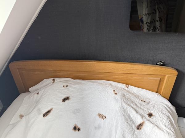Een goed bed een twijfelaar 1,20 breed 2,00 meter lang