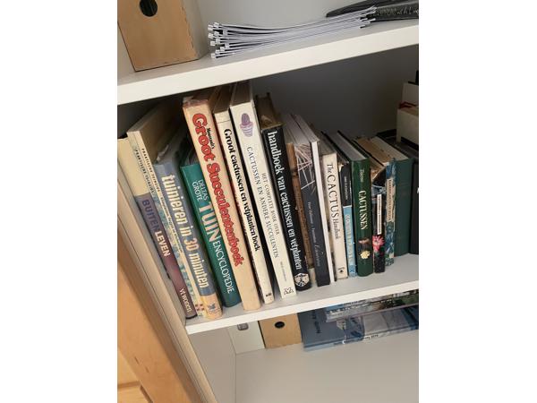 Cactusboek(en) + plantjes