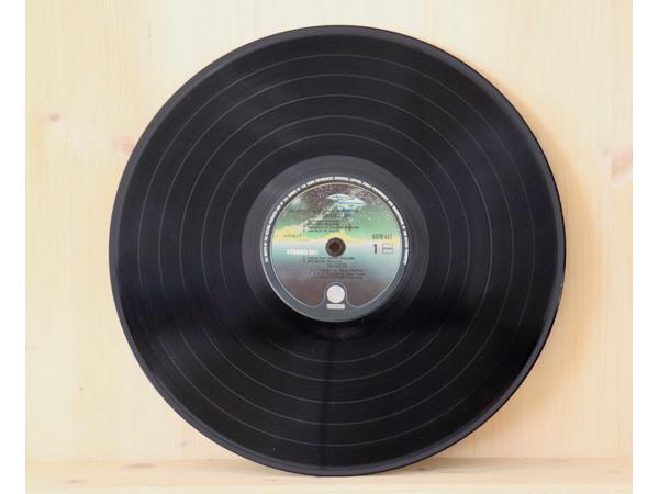 9x Lp en 2x single van DR. Hook tot Third World