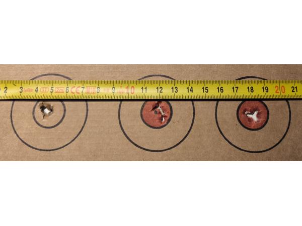 Diana Two Fifty in 5.5mm met Nikko Stirling 3-9x40 ao ir