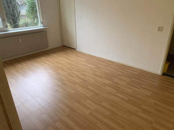 Laminaatvloer beuken 60 m2 plus een nieuw pak en plinten