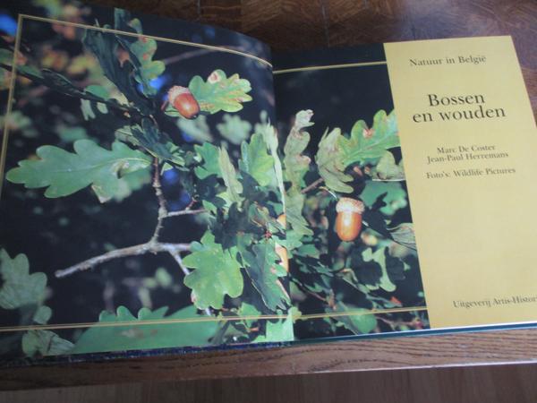 Natuur in België - Bossen en Wouden