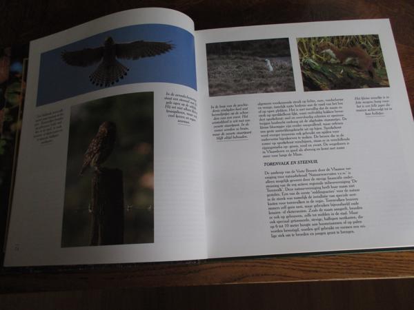 Natuur in België - Bossen en Wouden