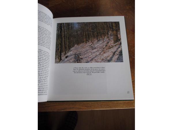 Natuur in België - Bossen en Wouden