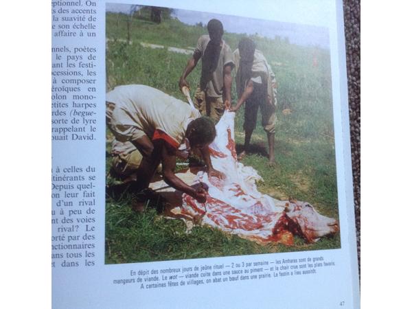 BOEK van ETHIOPIE in het Frans geschreven