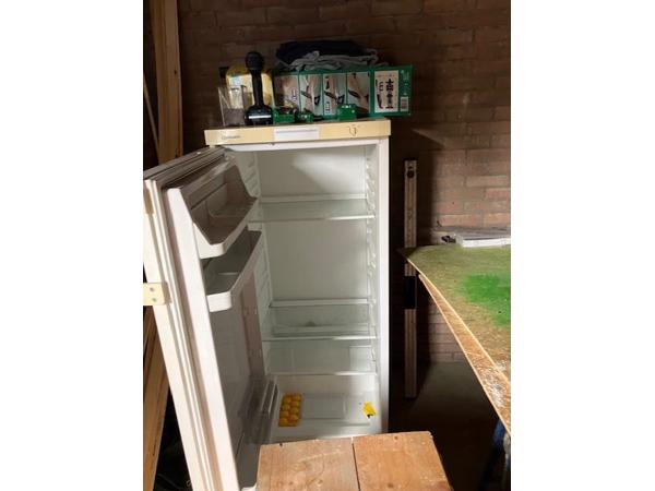 koelkast / bierkoelkast