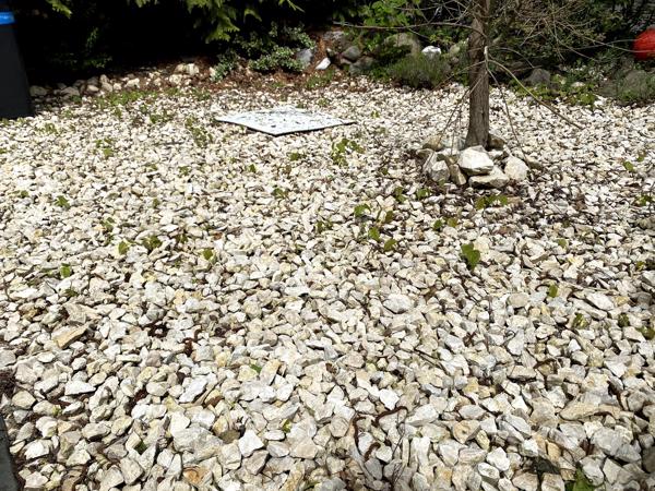 Grind, stenen, rotsen, lavastenen