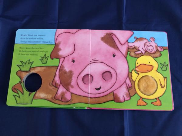 Voelboekje : Erwin Eend Ben jij mijn mama?