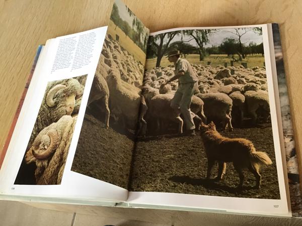 Australië ;Prachtig boek ,mooi & uitnemend natuur,op reisTOP