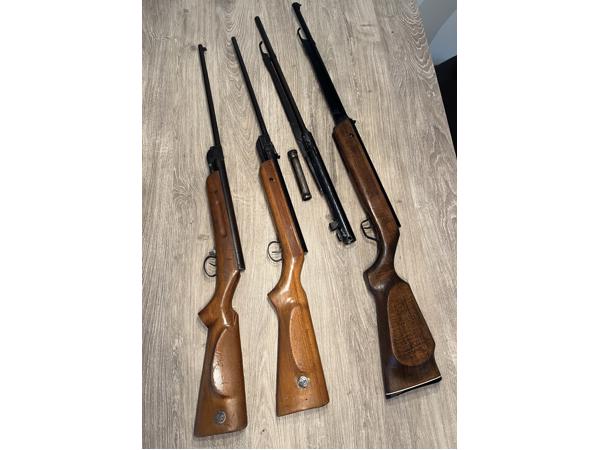 Hongaarse (?) buksen