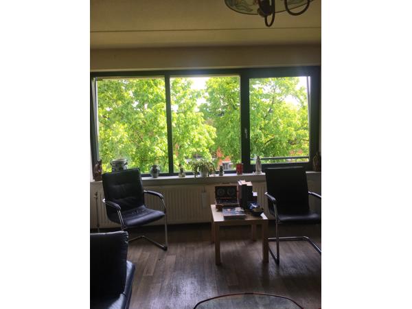 Stoel 25,vloerkleed 75 .4 ledere groom/leer keukenstoelen