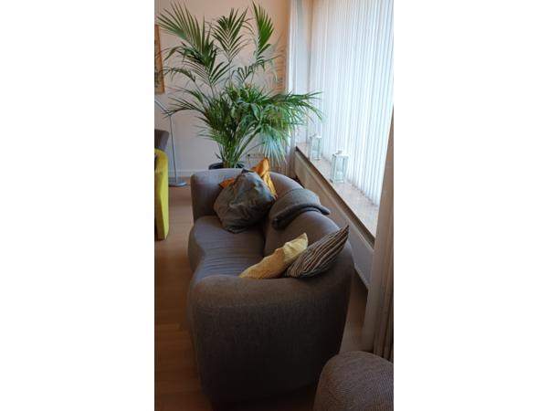 Mooi bankstel drie zits en tweeënhalf zits