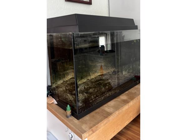Leeg Aquarium
