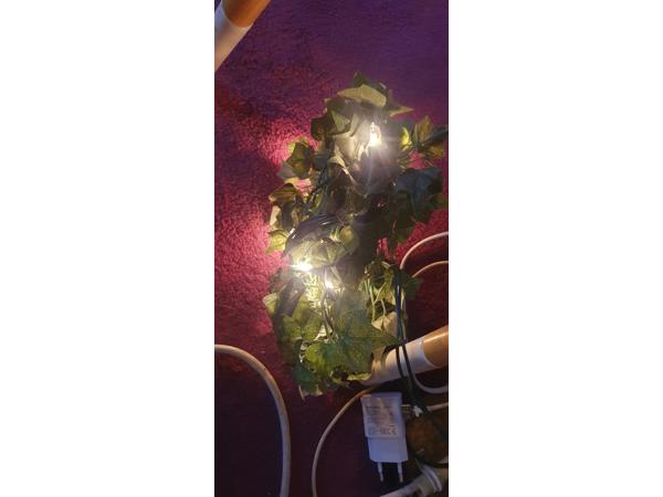 Diverse kerstspullen en kerstversieringen en kerstboom.