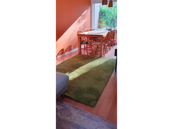 Tapijt Groen