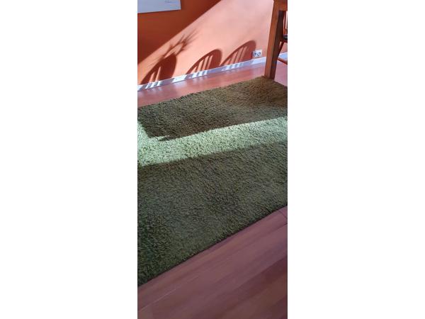 Tapijt Groen