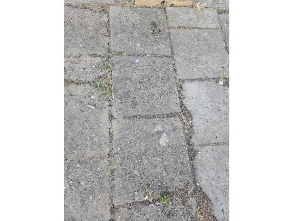 Tuintegels (30×30 en 25×30)