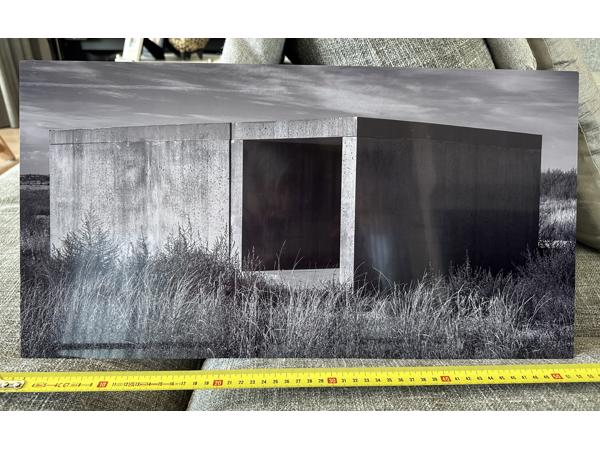 Two black and white photographs printed on metal