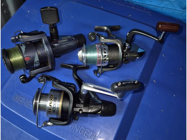 Vismolens lotje van 3