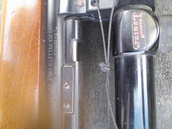 Sheridan pompbuks cal 20