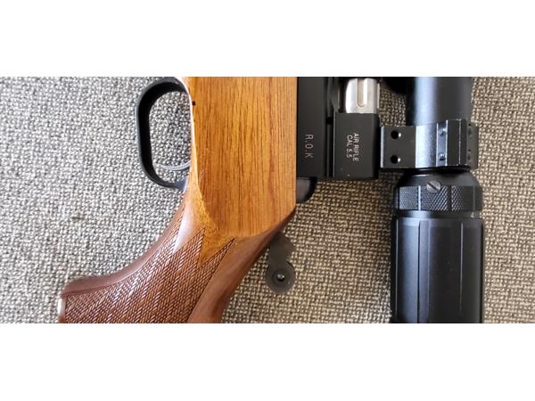 Duc Il (Evanix) Hunting Master AR6 semi-auto in 5.5 mm