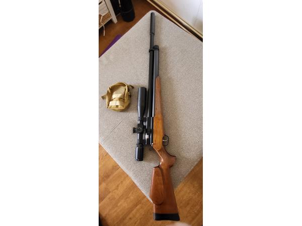 Duc Il (Evanix) Hunting Master AR6 semi-auto in 5.5 mm