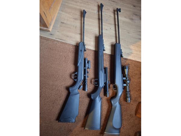 Diana model 21 panther, model 31 panther en model 38