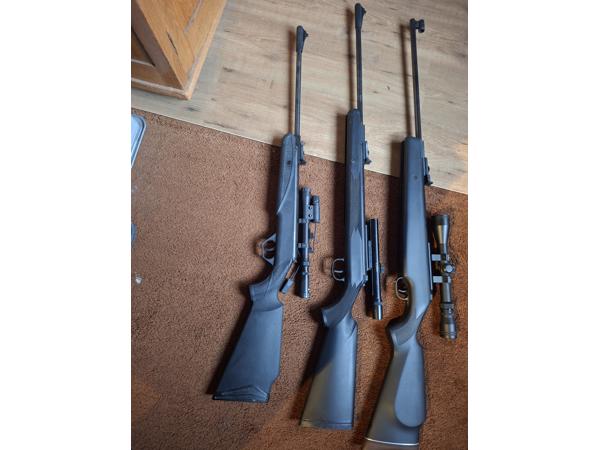 Diana model 21 panther, model 31 panther en model 38