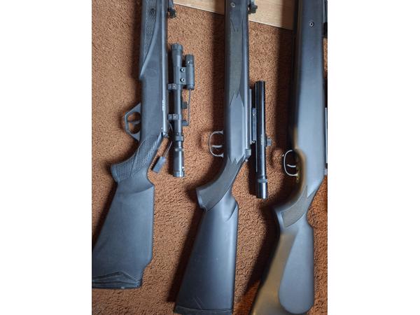 Diana model 21 panther, model 31 panther en model 38