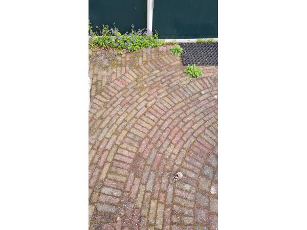 Gebruikte waaltjes tuin