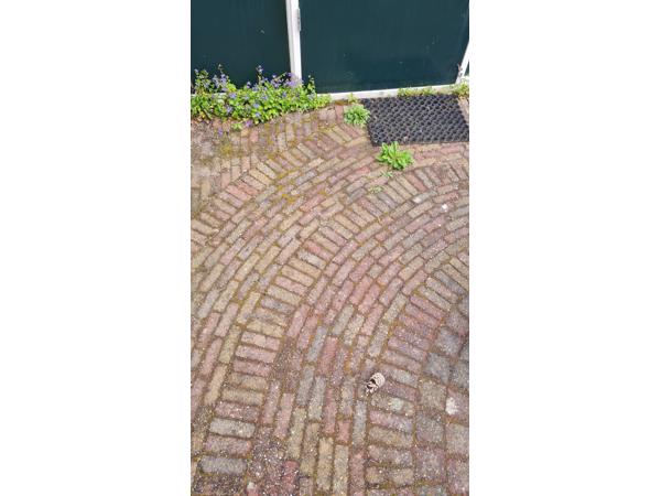 Gebruikte waaltjes tuin