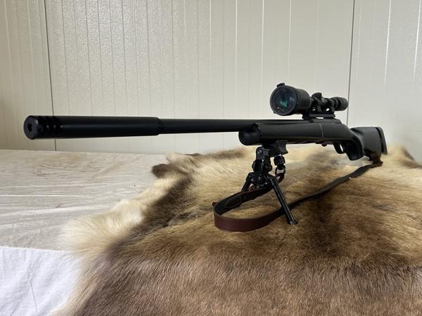 Altaros M24 .25 PCP Set