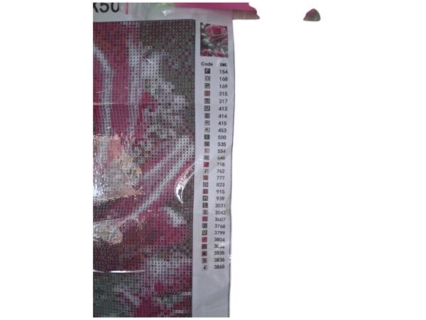 nr 13 Diamond Painting rozen 50x40cm (vierkant)