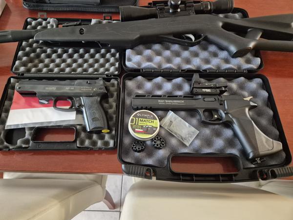 Div te koop knikloop pcp co2 alles in perfecte staat