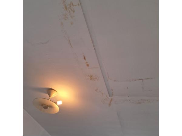 Graag witte plekjes met gele verf beschilderen.