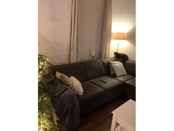 Hoekbank antracietgrijs