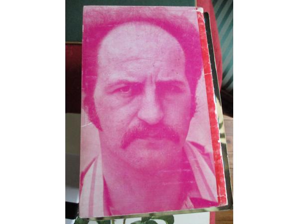 Hedwig Speliers  -  Omtrent Stijn Streuvels